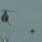 Au salvat caprioarele de pe lacul inghetat cu elicopterul | VIDEO SPECTACULOS