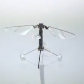 Viitorul dronelor: robotul zburator de marimea unei muste